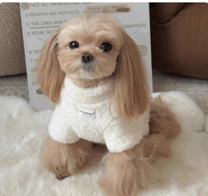 Abbigliamento Caldo per Animali Domestici: Teddy, Bichon Frise, Pomeranian, Schnauzer, Yorkshire Terrier, Poodle, <span class=keywords><strong>Cuccioli</strong></span> di <span class=keywords><strong>Piccola</strong></span> Taglia - Product Image 4