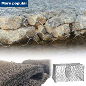 2025 lũ rào cản gabion tường sông bảo vệ nhúng nóng mạ kẽm kim loại gabion lưới - Product Image 1