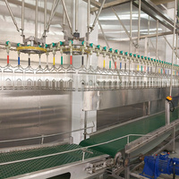 Équipement d'abattoir de poulet 500bph équipement d'abattage d'usine de transformation de poulet de ligne d'abattage de volaille