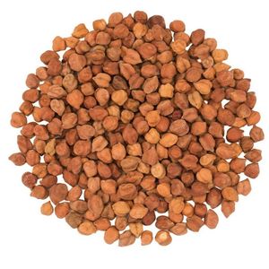 Graines de Cassia Biologiques Naturelles Brunes en Bol de Verre pour Cuisine et Broyage à Base de Plantes - Product Image 5