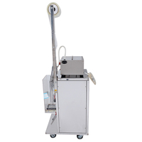Machine de remplissage pour pâte de liquide frais, emballage automatique, pour lait frais, piment, boisson, lait de mouton, sauce liquide