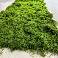 Herbe artificielle verte de pelouse de mousse de bricolage pour la décoration de supermarché aménagement paysager occasion de Thanksgiving matériel de mousse plante de mousse