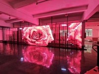 Écran LED couleur haute performance fixe transparent P2.6-5.2 pour la publicité et les boîtes de nuit