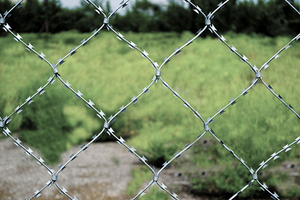 Grillage de protection en acier inoxydable soudé, type rasoir, maille diamantée, pour clôture - Product Image 6