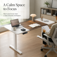 Bureau électrique à hauteur réglable AOR au design moderne et aux blocs de couleur, idéal pour l'apprentissage à domicile et le bureau, vente en gros personnalisée en usine dans toutes les couleurs