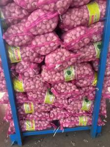 Sinofarm China Alho Fornecedor Orgânico Atacado Fresco Alho 2.7kg 3kg 10kg Malha Saco Ali Ajo Alho para o Mercado do Oriente Médio - Product Image 4