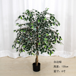Bonsái Artificial de Plástico, Árbol de Banyan de Alta Calidad, Simulación de Árbol Verde en Maceta para Interiores, Sala de Estar, Jardín - Product Image 1