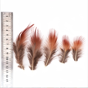 Plume de <span class=keywords><strong>faisan</strong></span> doré rouge de 4 à 8 cm pour les modèles de mouches sèches, nymphes et streamers, pour la pêche à la mouche en truite en ruisseau, lac, eau faiblement lumineuse et boueuse - Product Image 6