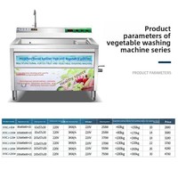 Hoge kwaliteit automatische roestvrijstalen fruit- en groentewasmachine met motor voor maïsverwerking