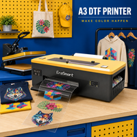 Printer Transfer DTF Erasmart A3 untuk Cetak Pakaian Klub Tenis Pickleball, Seragam Tim, Pesanan Khusus, Transfer Panas