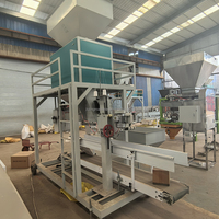 5kg 10kg 25kg 50kg 100kg Sac NPK Engrais granulaire Alimentation organique Machine à emballer