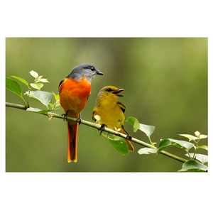 Tinh thể đá kỹ thuật số sơn dầu Bộ sưu tập bọc vải động vật sơn nhà trang trí tường nghệ thuật có tính năng treo trang trí nội thất - Product Image 1