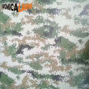 Chất lượng cao chống trượt không trượt hình lục giác <span class=keywords><strong>HPL</strong></span> Laminate tấm nhiều lớp ván ép cho trường hợp chuyến bay - Product Image 6