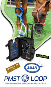 Nuevas Ideas de Negocios 2026: Manta PEMF para Caballos - Product Image 6