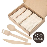 Ensemble de cuillères en bois écologiques Trendz Birch pour le thé et le café, pour les fêtes