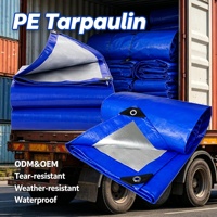 Bâche en PE haute résistance, imperméable, avec œillets renforcés pour la protection des marchandises des camions, protection extérieure