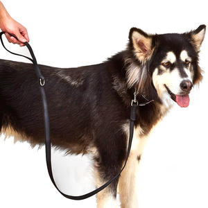 Laisse pour <span class=keywords><strong>chien</strong></span> personnalisée style western, en caoutchouc durable, contrôle facile, poignée souple, diverses couleurs, rubans imprimés mignons, pour la promenade - Product Image 2