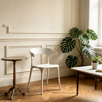 Chaises de salle à manger confortables en plastique blanc pur incassable avec dossier, style minimaliste, mobilier d'extérieur élégant, chaise de jardin pour café