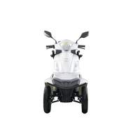 Scooter Électrique Quatre Roues Élégant et Luxe Léger, Batterie Plomb-Acide 60V 20Ah, Moteur Sans Balais, Autonomie 40-60km, Vitesse 21-30km/h, VIGOROUS