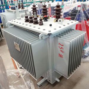 Trasformatore di potenza 250kva 300kva 11/0.415kv trasformatore di distribuzione trifase immerso in olio - Product Image 6