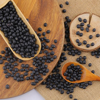 Soja noir biologique en vrac, haricots secs riches en fibres et en nutriments, de haute qualité, origine Jilin, durée de conservation de 12 mois