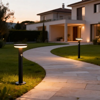 Lampes solaires LED étanches à piles pour jardin, allée et cour - Acier inoxydable, indice de protection IP44