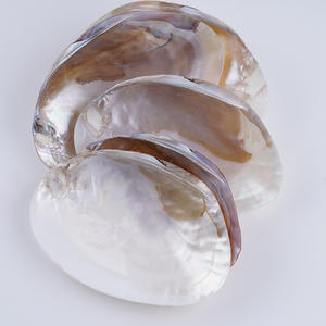 Perles de culture d'eau douce naturelles de 13-14 mm, forme de pièce de monnaie baroque, bouton, trou traversant, bricolage, collier, perles en vrac, vente en gros - Product Image 1