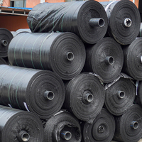 Toile de paillage durable et résistante pour la prévention et la lutte contre les adventices, protection des aménagements paysagers, serres et fermes
