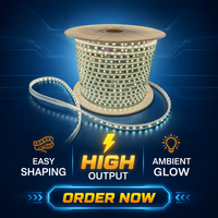 Bande lumineuse LED néon flexible DC24V en PVC, étanche IP68, télécommande, puce Epistar, Ra85, durée de vie de 50 000 heures, 60 lumières/m