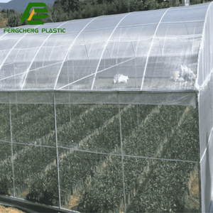 Durable Fine Mesh <strong>Bug</strong> <strong>Screen</strong> for Greenhouse and Fruit Tree Cabbage Protection Anti Insect Net - Product Image 6