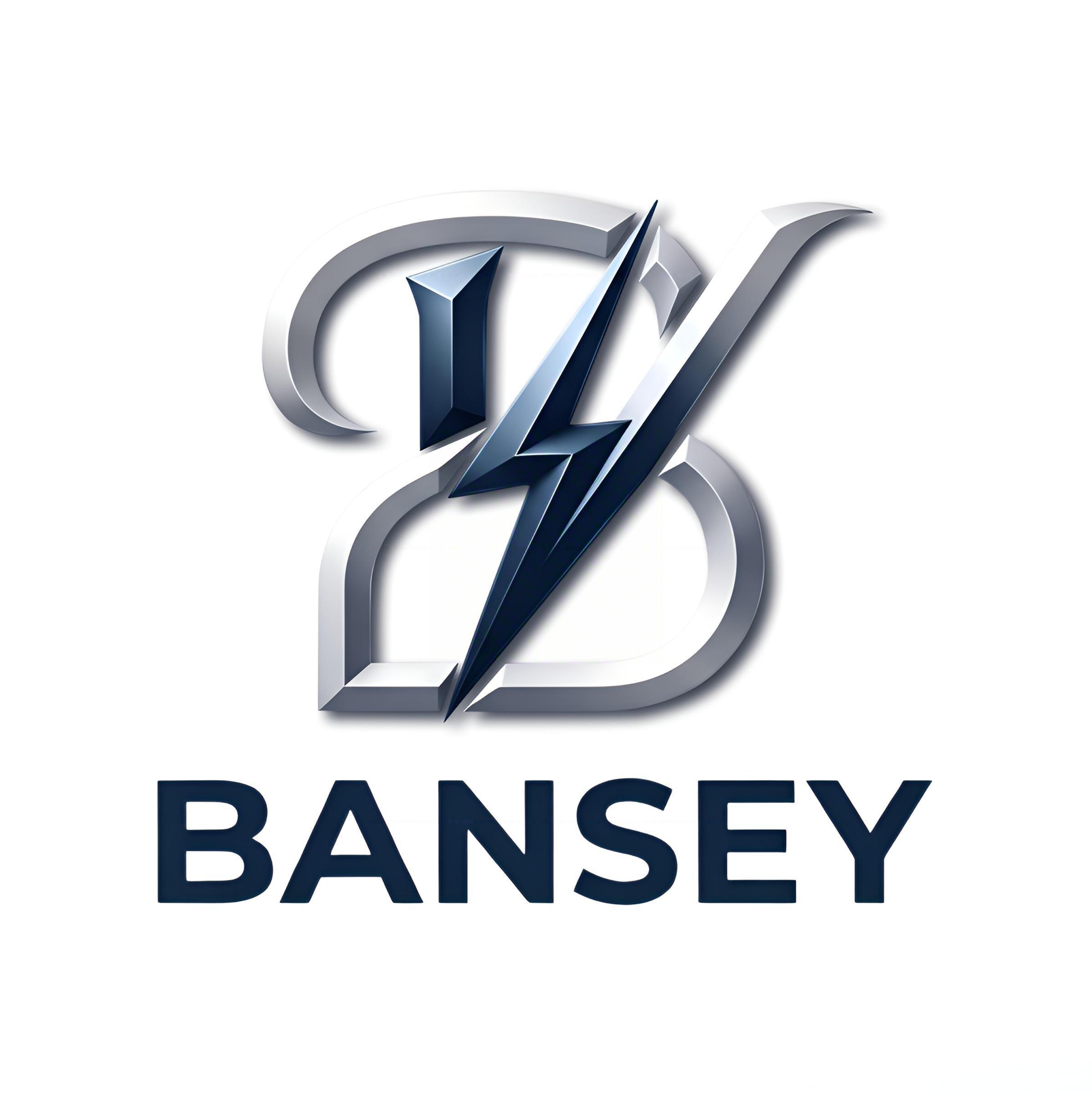 BANSEY (HK) INTERNATIONAL CO., LIMITED logo