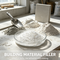 Poudre de mica blanc de qualité industrielle, muscovite séricite haute pureté, taille de particules uniforme, plusieurs options de granulométrie pour peinture et plastique