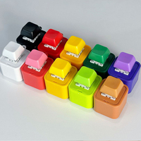 Porte-clés mémo vocal rechargeable, enregistreur sonore, amplificateur de son, bouton d'enregistrement, cadeau audio personnalisé DIY, jouet anti-stress créatif