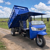 Tricycle de transport industriel à chargement lourd, tricycle à benne basculante diesel à trois roues