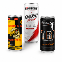 Boissons Énergétiques en Conserve en Gros – Diverses Saveurs (Citron Vert, Menthe, Raisin, Orange) – Teneur en Sucre Personnalisable – Boisson Sportive pour l'Endurance