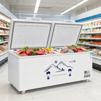 Congélateur horizontal commercial de qualité professionnelle à économie d'énergie, congélateur coffre haute efficacité pour le stockage