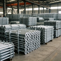 Andamio con Garantía de 1 Año, Escalera de Aluminio Galvanizado con Anillo de Bloqueo para Proyectos de Edificios de Gran Altura, Almacenes y Exteriores