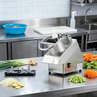 Elektrische industriële voedsel- en groentesnijmachine voor uien, plantains, aardappelchips, fruit en groenten.