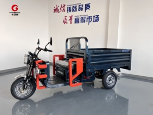 Triciclo Elettrico da Carico con Autonomia di 70km, Nuovo Triciclo Elettrico a 3 Ruote ad Alta Capacità per Distribuzione Merci in Zone Rurali - Product Image 4