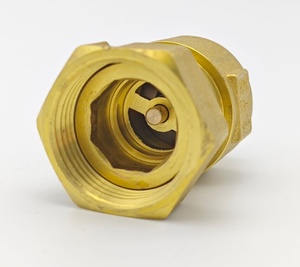 <span class=keywords><strong>Clapet</strong></span> <span class=keywords><strong>anti</strong></span>-<span class=keywords><strong>retour</strong></span> pour <span class=keywords><strong>compteur</strong></span> <span class=keywords><strong>d</strong></span>'<span class=keywords><strong>eau</strong></span>, raccord en laiton fileté mâle/femelle, <span class=keywords><strong>clapet</strong></span> télescopique <span class=keywords><strong>anti</strong></span>-<span class=keywords><strong>retour</strong></span> - Product Image 3