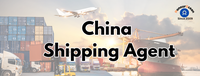 Coût le plus bas DDP Port à Port Porte à Porte Transport maritime Top 10 des transitaires de Chine vers la Guyane Agent maritime