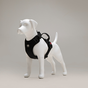 G12 Cheap <strong>Fiberglass</strong> Pet <strong>Display</strong> Model Accessory Store Use Real Size Abstract Medium-sized <strong>Dog</strong> Model with Standing <strong>Dog</strong> <strong>Mannequin</strong> - Product Image 2