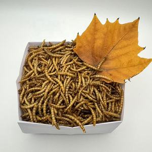 Vermi della farina essiccati a microonde per uccelli pesci lucertole ragni gechi ricci camaleonti criceti ecc. Dolcetti - Product Image 5