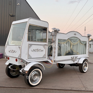 Oferta especial a precio de fábrica: Coche fúnebre eléctrico blanco de bajo consumo para transporte especial. - Product Image 3