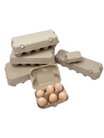 Boîtes à œufs en papier moulé, lot de 6, plateau de rangement biodégradable, écologique, recyclable, avec lamination mate et gaufrage