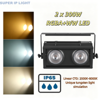 Projecteur LED IP66 étanche 2 yeux 2x300W RGBA+WW 5-en-1 avec effet CTO tungstène linéaire pour événements extérieurs, concerts et scènes (Blinder)