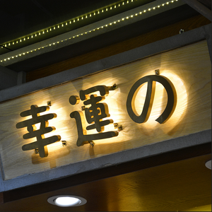 Lettres en relief 3D personnalisées rétroéclairées en acier inoxydable, logo métallique rétroéclairé pour enseignes extérieures de maison - Product Image 3