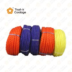 Colore Multipack personalizzabile 3/ 8/ 12 strand 4mm a 60 mm polipropilene ormeggio PE PP corda