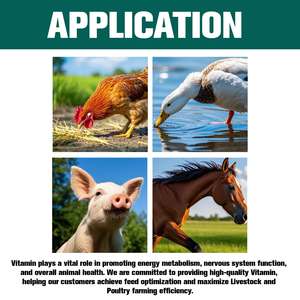 Supplément diététique de biotine de poudre de vitamine B7 de qualité alimentaire pour le renforceur de santé de volaille de bétail - Product Image 2