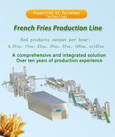 Volledig automatische machine voor het maken van aardappelchips, industriële productielijn voor diepvriesfrieten, fabriek voor de verwerking van finger chips